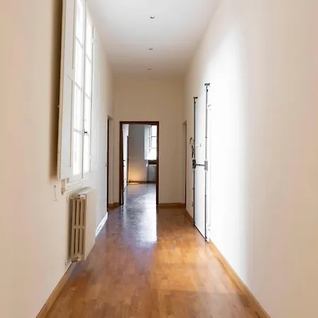 Santo Spirito Huge Appartement